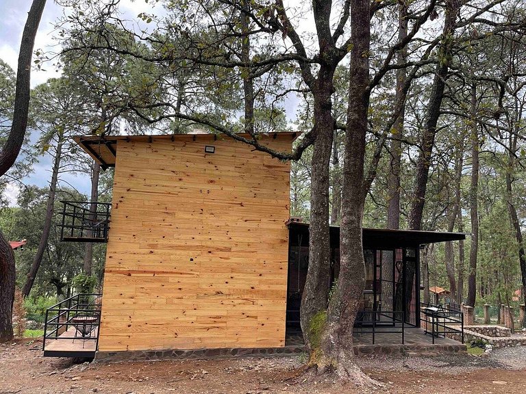 Hermosa Cabaña Inmersa en el Bosque de Tapalpa