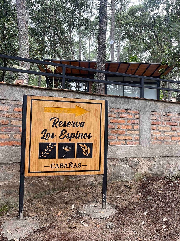 Hermosa Cabaña Inmersa en el Bosque de Tapalpa