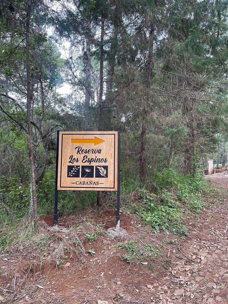 Hermosa Cabaña Inmersa en el Bosque de Tapalpa