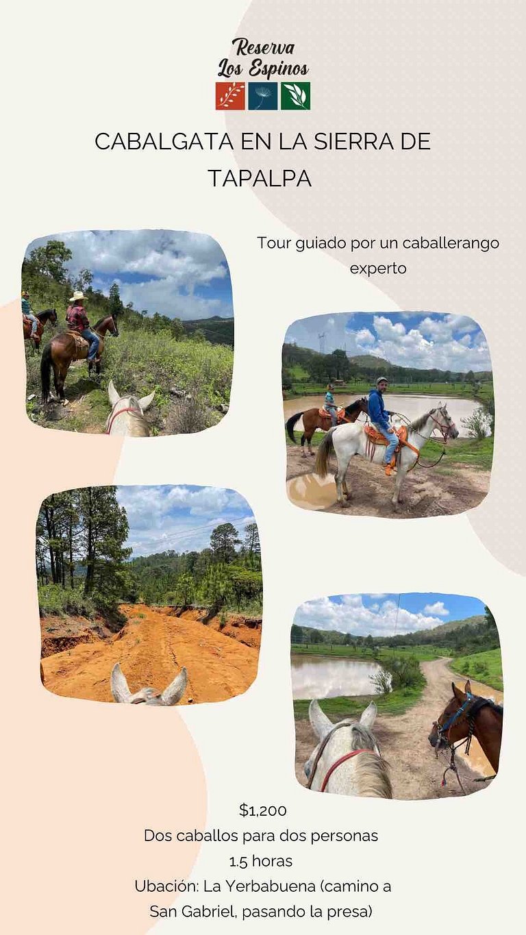 Cabaña El Miradero, Tapalpa